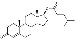 Testosterone_Isocaproate - Product number:110709