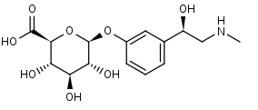 Phenylephrine_Glucuronide - Product number:120671